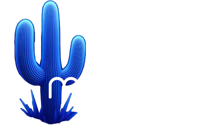 Mojo Broadband